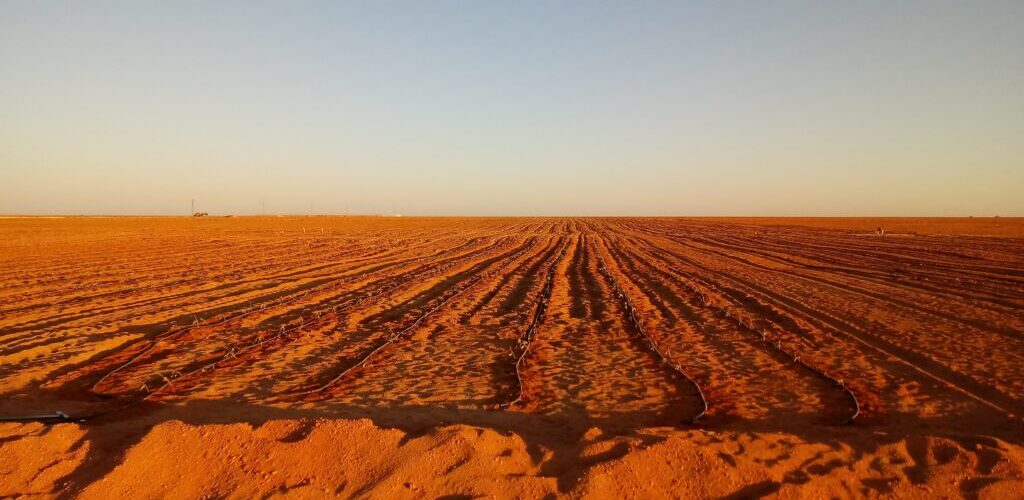 Projet agroindustriel intégral Sidi Moussa à Adrar (Algérie)